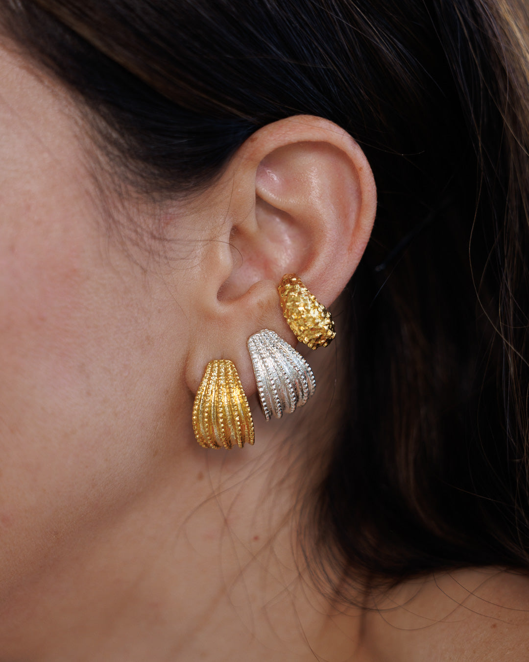 Shell Earrings