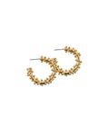 Arena Hoops