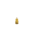Aura Charm