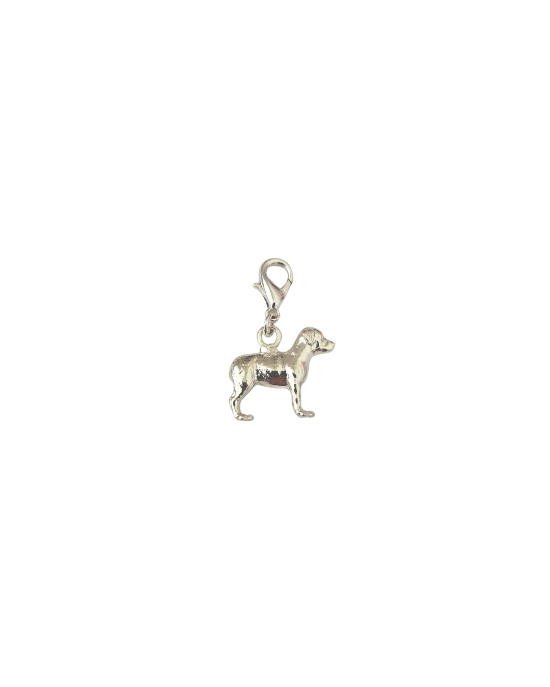 Dog Charm