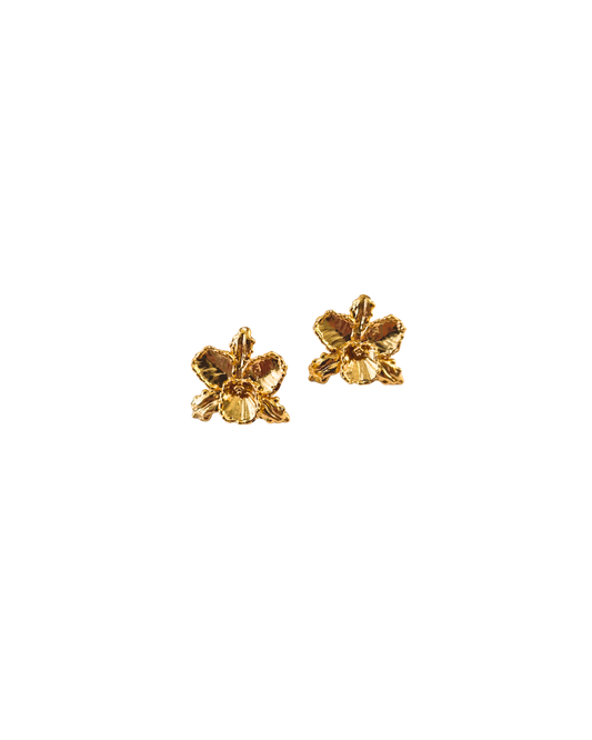 Orchid Earrings